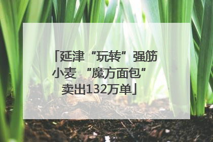 延津“玩转”强筋小麦 “魔方面包”卖出132万单