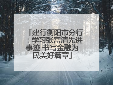 建行衡阳市分行：学习张富清先进事迹 书写金融为民美好篇章
