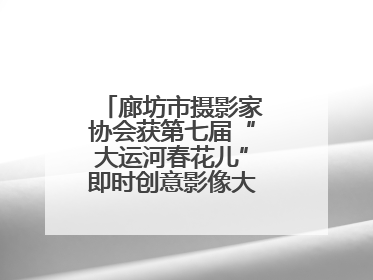 廊坊市摄影家协会获第七届“大运河春花儿”即时创意影像大赛优秀组织奖