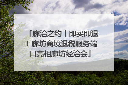 廊洽之约丨即买即退！廊坊离境退税服务端口亮相廊坊经洽会