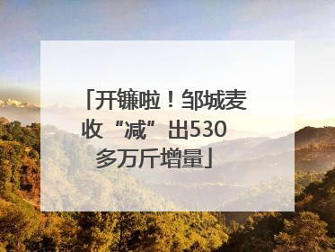 开镰啦！邹城麦收“减”出530多万斤增量