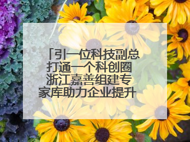 引一位科技副总 打通一个科创圈 浙江嘉善组建专家库助力企业提升自主创新能力