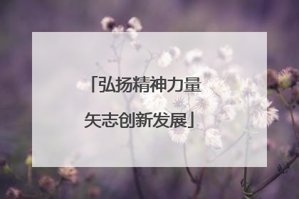 弘扬精神力量 矢志创新发展