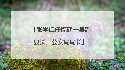 张学仁任福建一县副县长、公安局局长