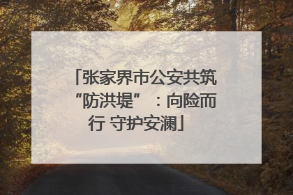 张家界市公安共筑“防洪堤”：向险而行 守护安澜