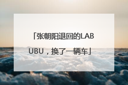 张朝阳退回的LABUBU，换了一辆车