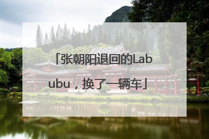 张朝阳退回的Labubu，换了一辆车