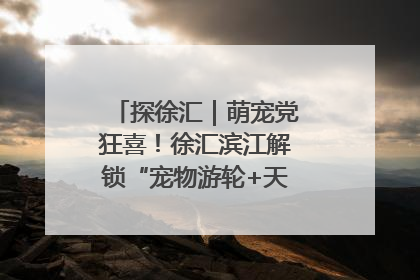 探徐汇｜萌宠党狂喜！徐汇滨江解锁“宠物游轮+天台乐园”双玩法