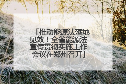 推动能源法落地见效！全省能源法宣传贯彻实施工作会议在郑州召开