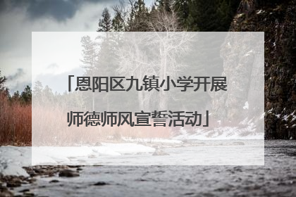 恩阳区九镇小学开展师德师风宣誓活动