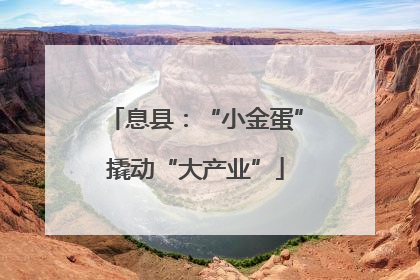 息县：“小金蛋”撬动“大产业”