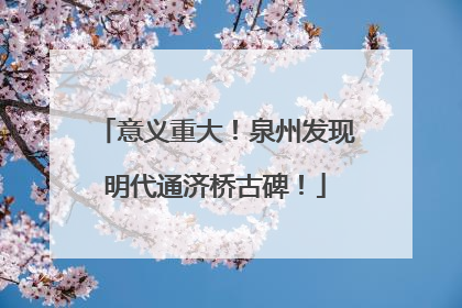 意义重大！泉州发现明代通济桥古碑！