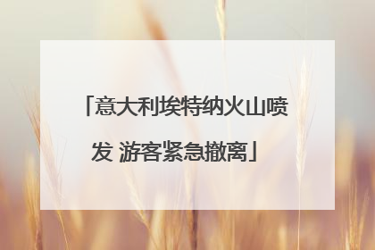 意大利埃特纳火山喷发 游客紧急撤离