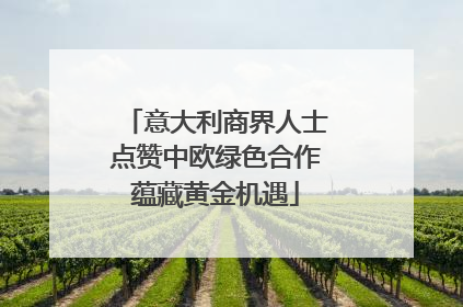 意大利商界人士点赞中欧绿色合作蕴藏黄金机遇