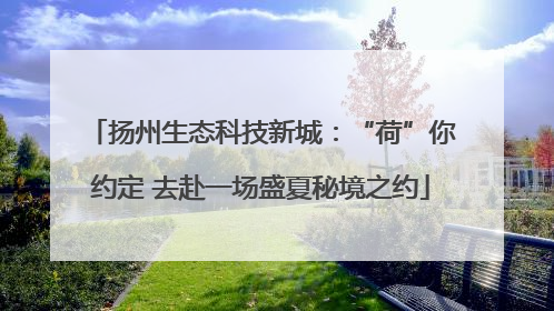 扬州生态科技新城：“荷”你约定 去赴一场盛夏秘境之约