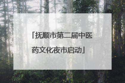 抚顺市第二届中医药文化夜市启动