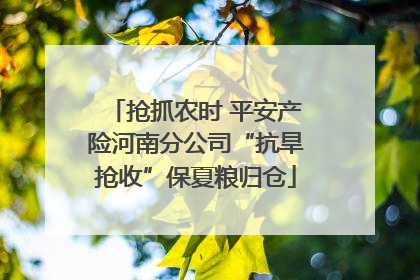 抢抓农时 平安产险河南分公司“抗旱抢收”保夏粮归仓