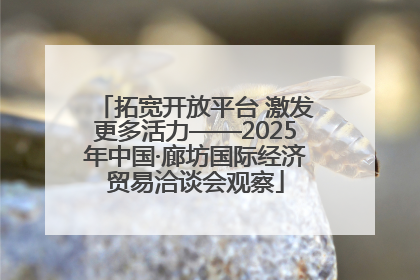 拓宽开放平台 激发更多活力——2025年中国·廊坊国际经济贸易洽谈会观察