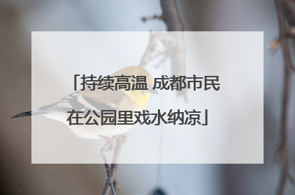 持续高温 成都市民在公园里戏水纳凉