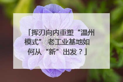 挥刃向内重塑“温州模式” 老工业基地如何从“新”出发？