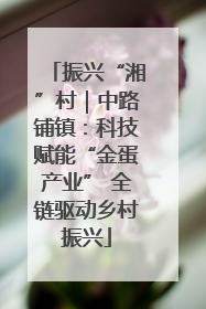 振兴“湘”村｜中路铺镇：科技赋能“金蛋产业” 全链驱动乡村振兴