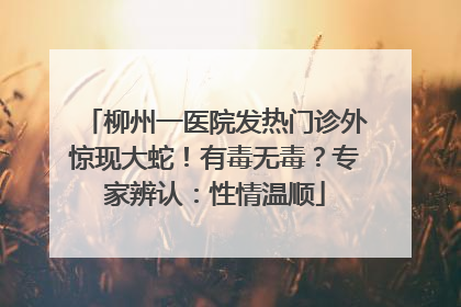 柳州一医院发热门诊外惊现大蛇！有毒无毒？专家辨认：性情温顺