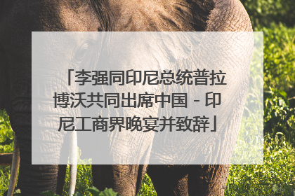 李强同印尼总统普拉博沃共同出席中国－印尼工商界晚宴并致辞