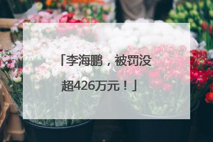 李海鹏，被罚没超426万元！