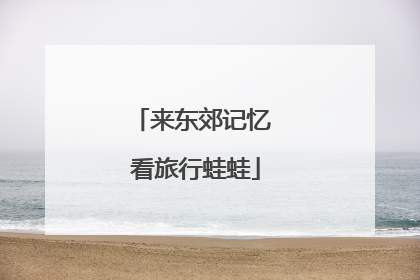 来东郊记忆 看旅行蛙蛙