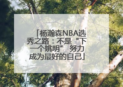 杨瀚森NBA选秀之路：不是“下一个姚明” 努力成为最好的自己