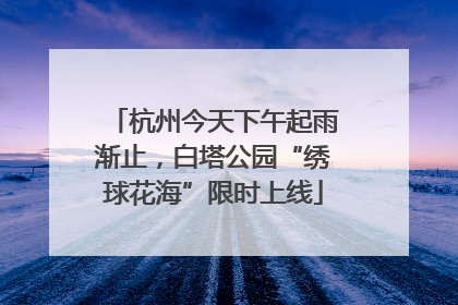 杭州今天下午起雨渐止，白塔公园“绣球花海”限时上线
