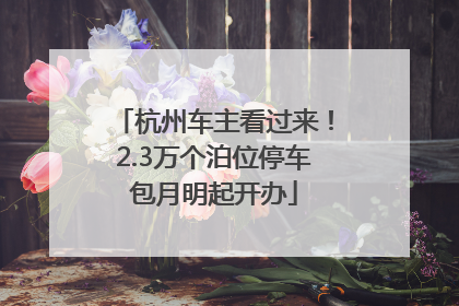 杭州车主看过来！2.3万个泊位停车包月明起开办