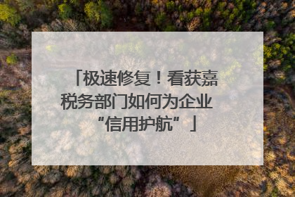 极速修复！看获嘉税务部门如何为企业“信用护航”