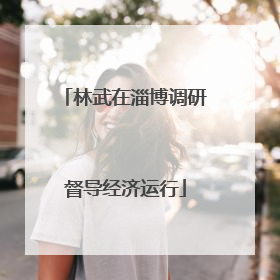 林武在淄博调研督导经济运行