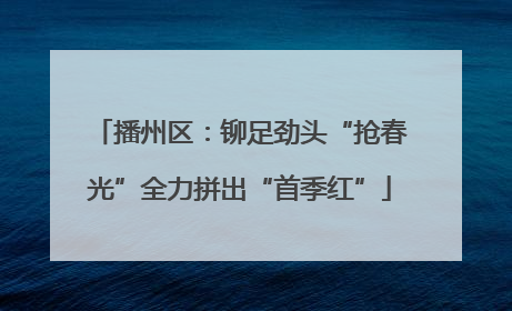 播州区：铆足劲头“抢春光”全力拼出“首季红”