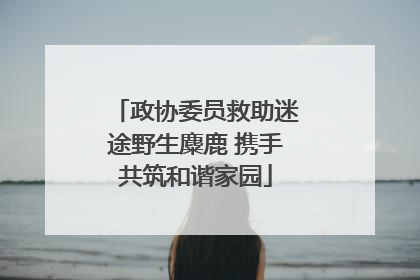 政协委员救助迷途野生麋鹿 携手共筑和谐家园