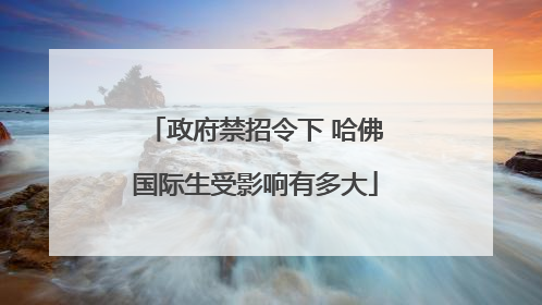 政府禁招令下 哈佛国际生受影响有多大