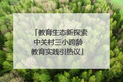教育生态新探索 中关村三小跨龄教育实践引热议