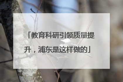 教育科研引领质量提升，浦东是这样做的