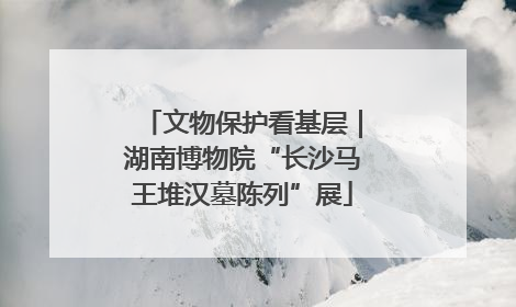 文物保护看基层｜湖南博物院“长沙马王堆汉墓陈列”展