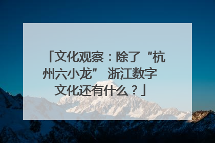 文化观察：除了“杭州六小龙” 浙江数字文化还有什么？