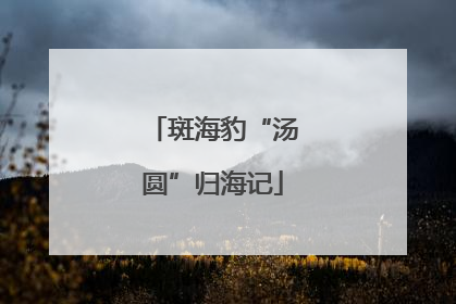 斑海豹“汤圆”归海记