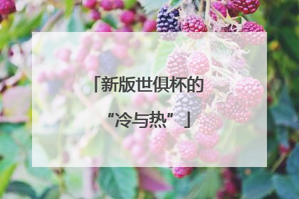 新版世俱杯的“冷与热”