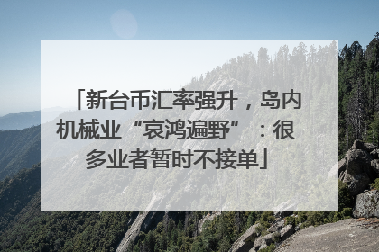 新台币汇率强升，岛内机械业“哀鸿遍野”：很多业者暂时不接单