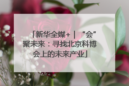 新华全媒+｜“会”聚未来：寻找北京科博会上的未来产业