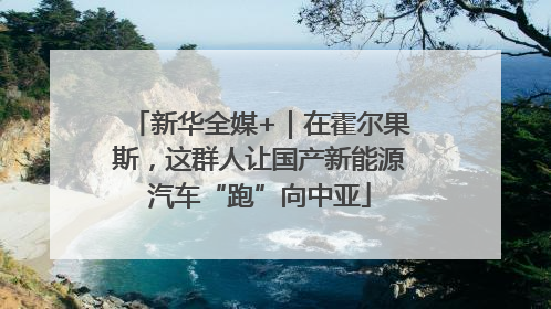 新华全媒+｜在霍尔果斯，这群人让国产新能源汽车“跑”向中亚