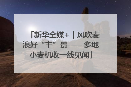 新华全媒+｜风吹麦浪好“丰”景——多地小麦机收一线见闻
