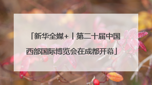 新华全媒+丨第二十届中国西部国际博览会在成都开幕