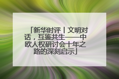 新华时评丨文明对话，互鉴共生——中欧人权研讨会十年之路的深刻启示