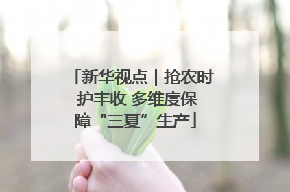 新华视点｜抢农时 护丰收 多维度保障“三夏”生产
